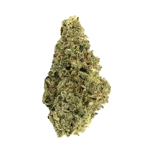 Crooked Dory Indica - Image 2