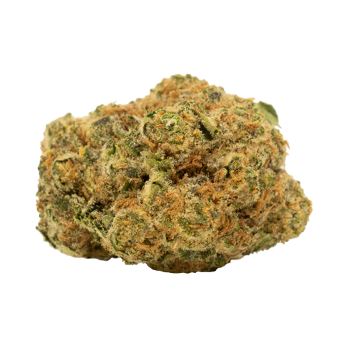 Tweed Gorilla Berry - Image 2