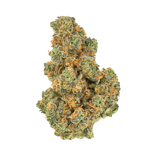 San Rafael '71 Pink Diesel - Image 2