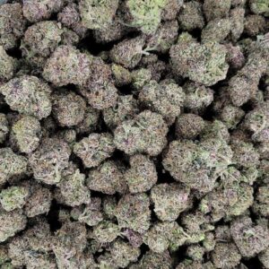 Gelato