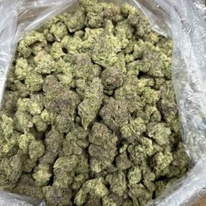 Lemon cherry Gelato