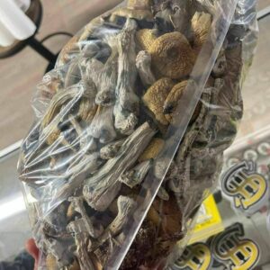 Shrooms